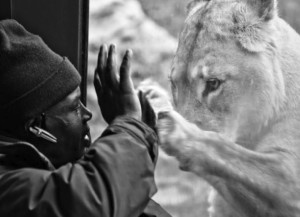 l'ANIMALE INCONTRO L'UOMO @ TERRAVIVA | Ferrara | Emilia-Romagna | Italia